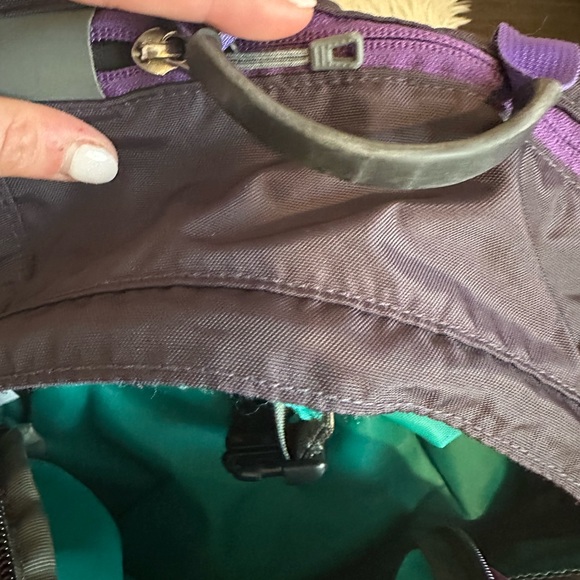 Women’s Purple Patagonia Backpack - Picture 4 of 16